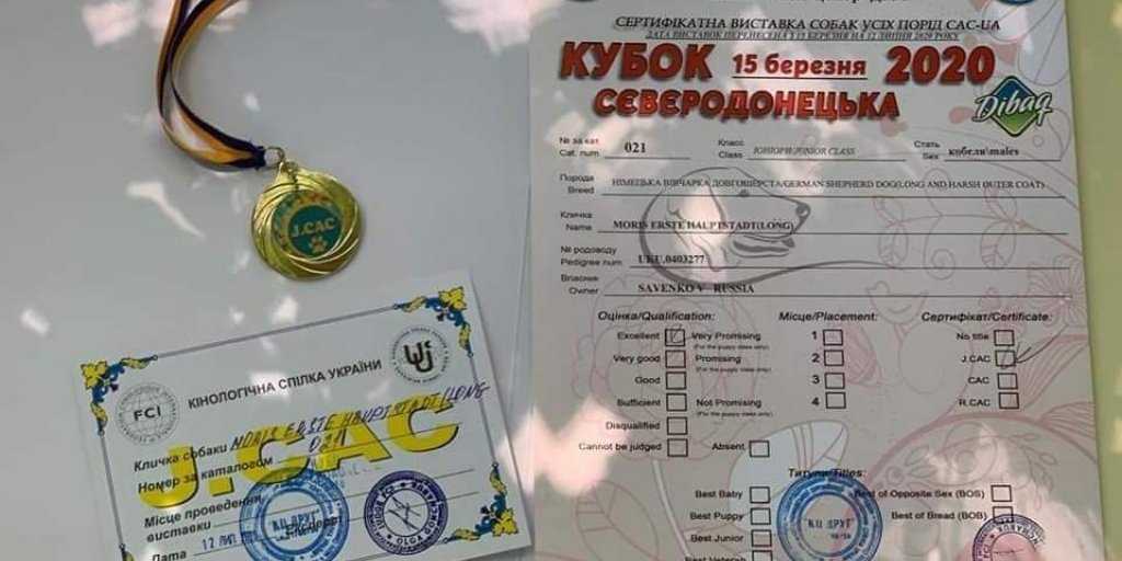 Алексей Журавко: В СБУ сходят с ума — собак берут в заложники!