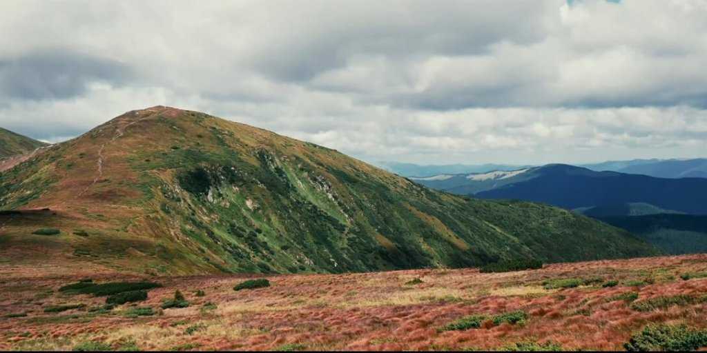Европейские политики больше не могут скрыть тайную любовь к России?
