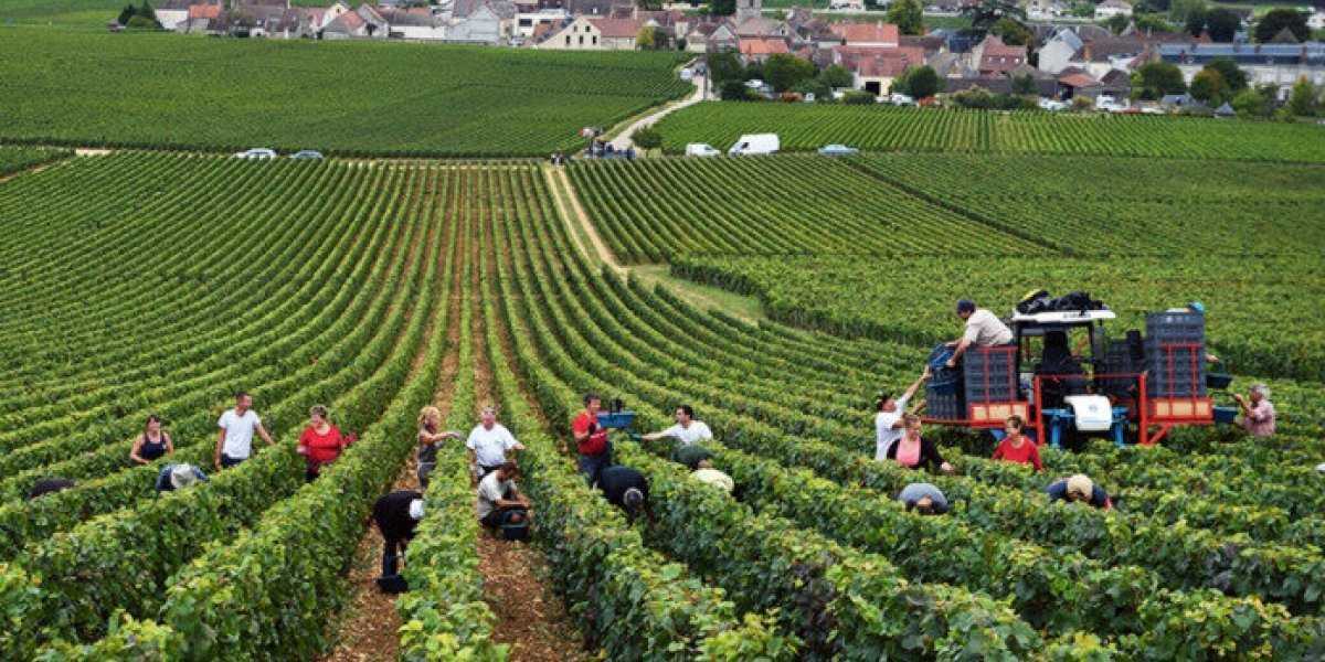 Европа и США пожинают плоды санкций. Жители Нью-Йорка возмущены ценами, а предприятия ЕС готовятся закрываться Европа и США пожинают плоды санкций. Жители Нью-Йорка возмущены ценами, а предприятия ЕС готовятся закрываться