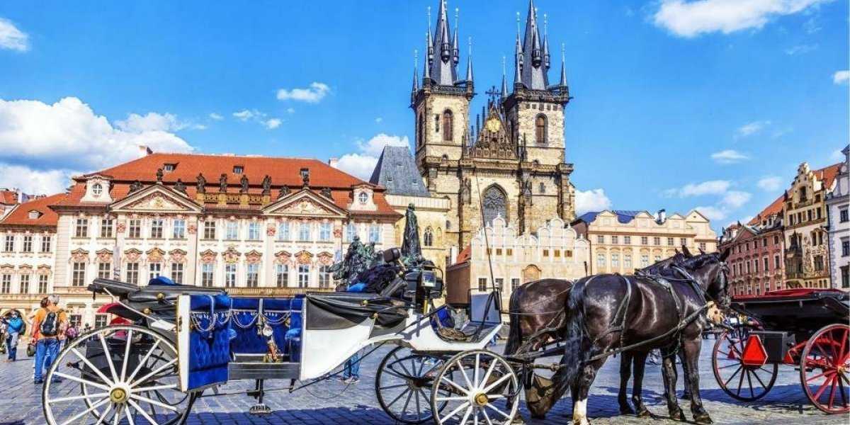 Чехи начали брать штурмом дешевые заправки — скоро на лошадей перейдут