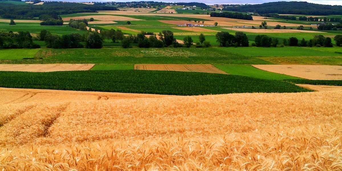 Намек Западу &ndash; Россия ввела запрет на экспорт зерновых и сахара в ЕАЭС. Москва увеличит поставки зерна и льна в Пекин