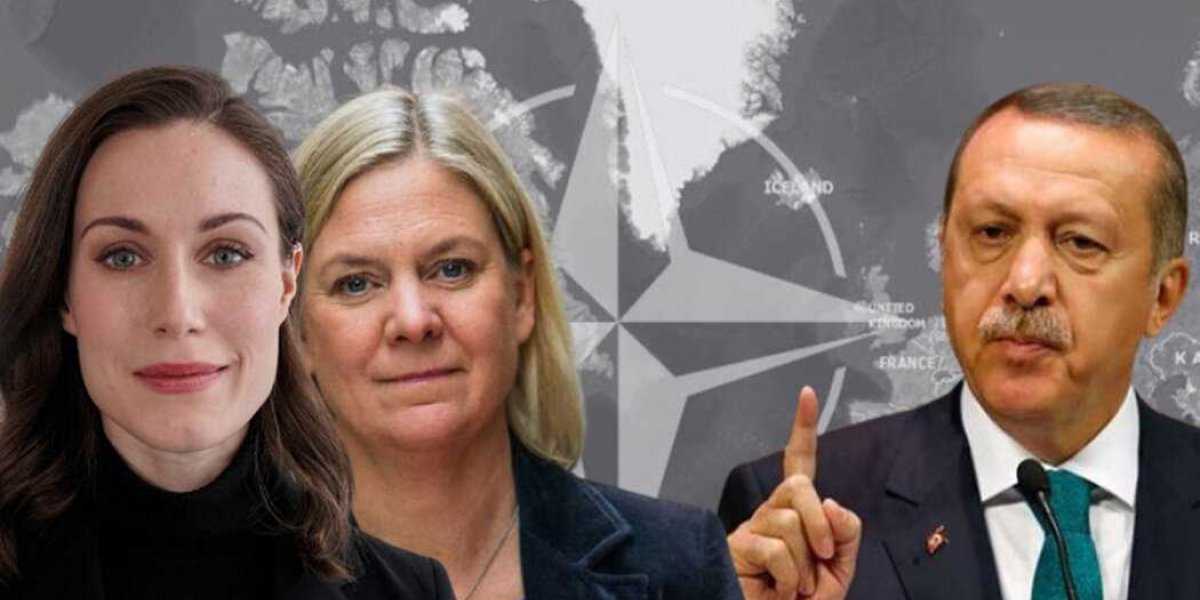 Турецкий гамбит закручивается с новой силой. В США призвали исключить Турцию из НАТО. Эрдоган мстит Швеции