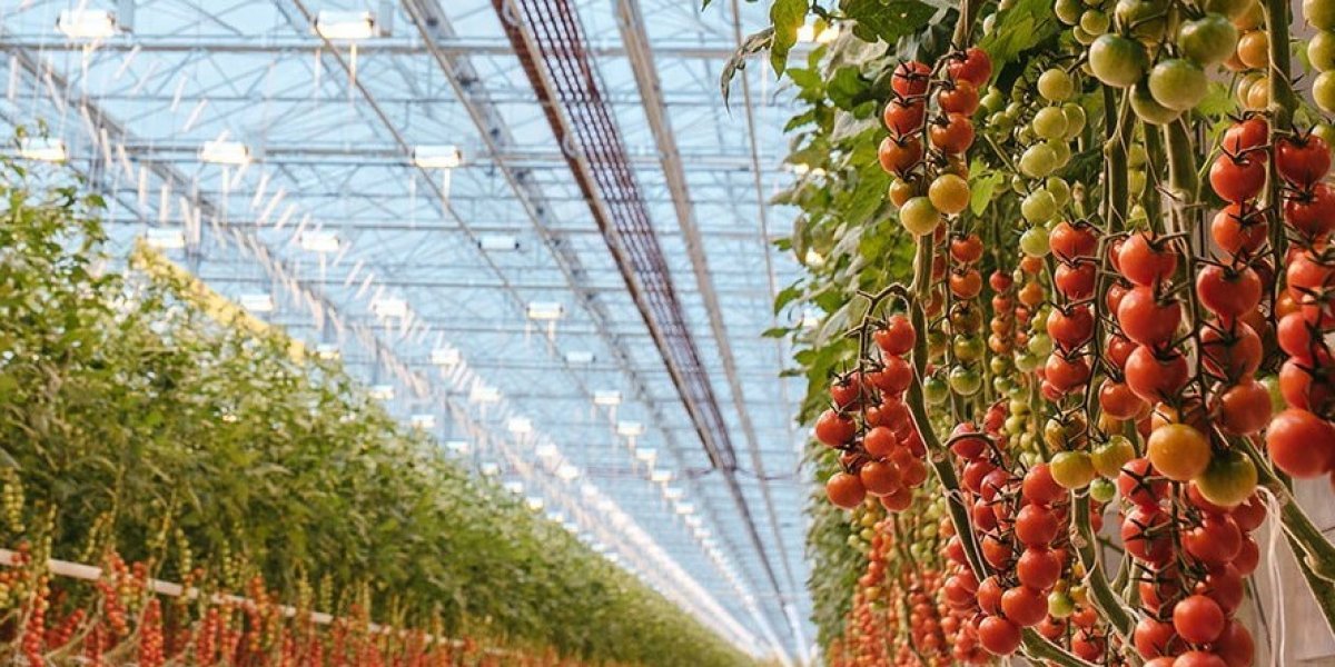 Миру грозит дефицит продовольствия. Над Литвой и Италией уже навис риск