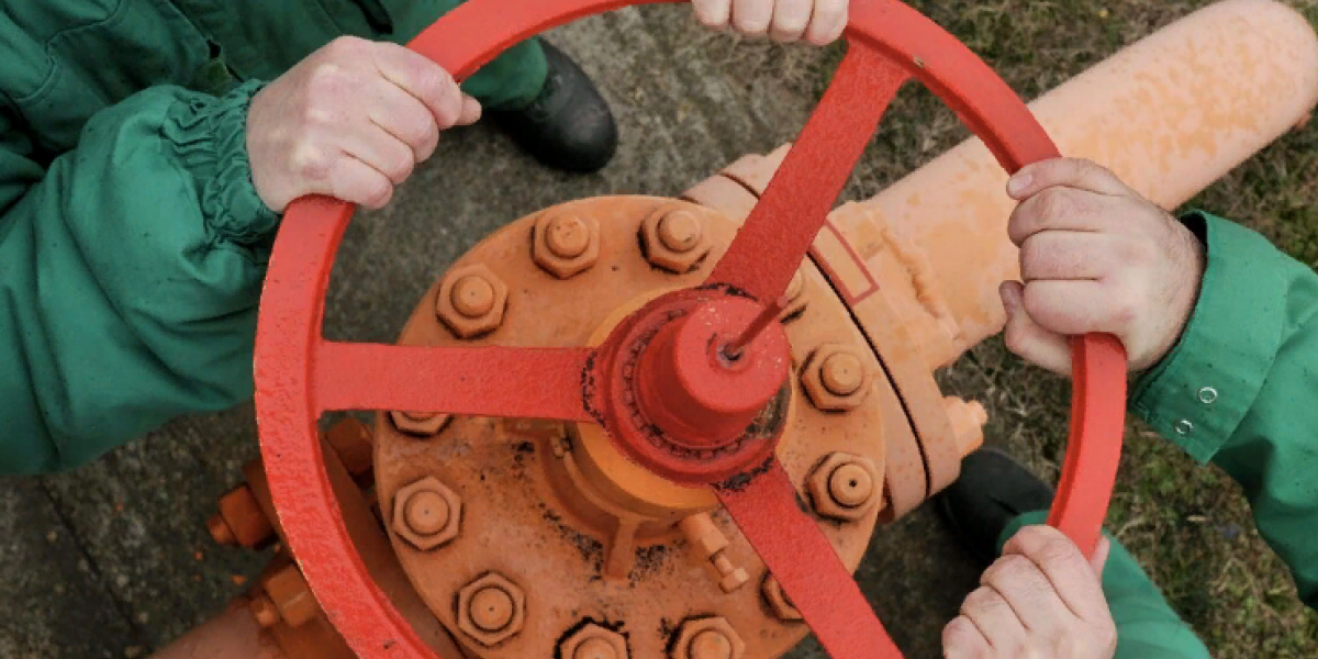 Россия и Евросоюз: берем за живое