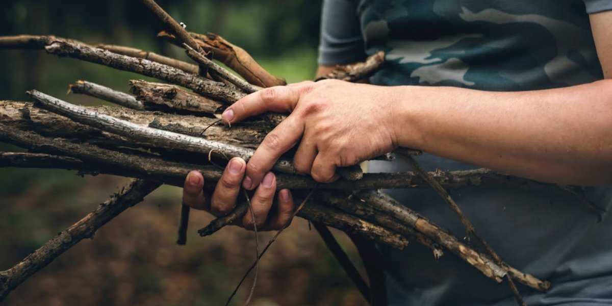 За русофобию Польша перейдет зимой на хворост без газа из России. Болгарию и Венгрию может ждать та же участь