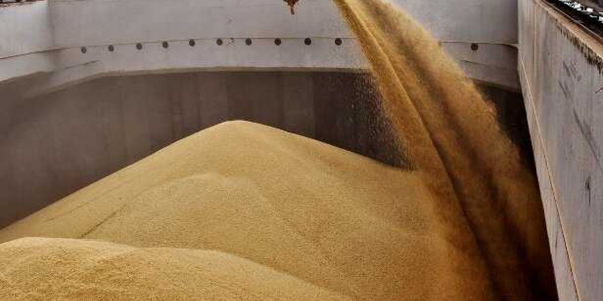 Украинское зерно распродают прямо с моря&hellip;