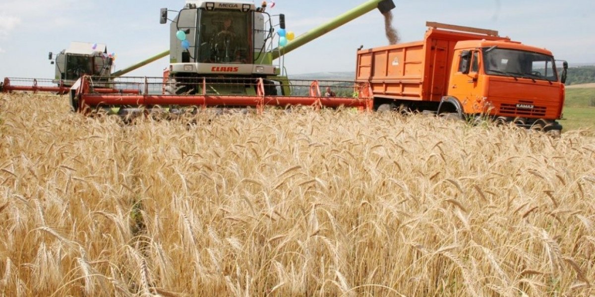 Россия обеспечила себя зерном и развивает его экспорт в Азию