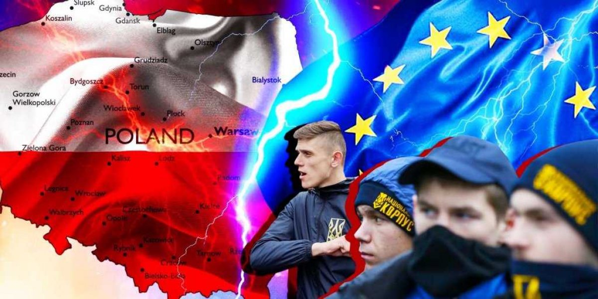 Пауки в банке: Польша готова перегрызть глотку конкурентам за бюджеты НАТО