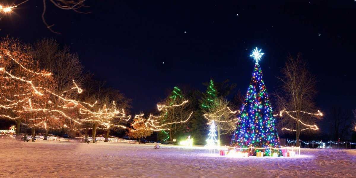 В чем встречать Новый год Черного Кролика: что надеть и какой цвет выбрать