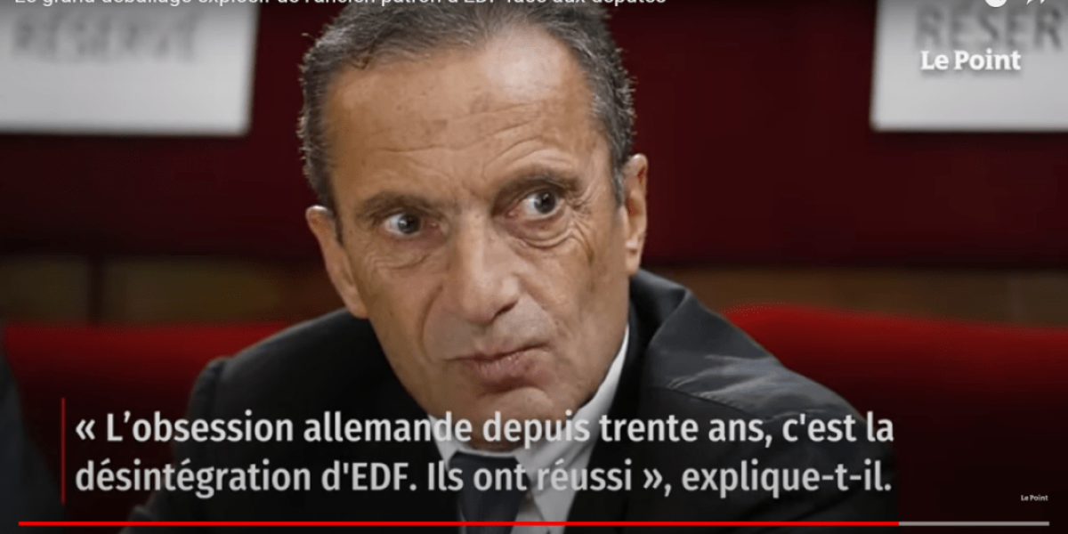 Виноваты в кризисе все, кроме России (экс-директор EDF выступил в Сенате Франции)