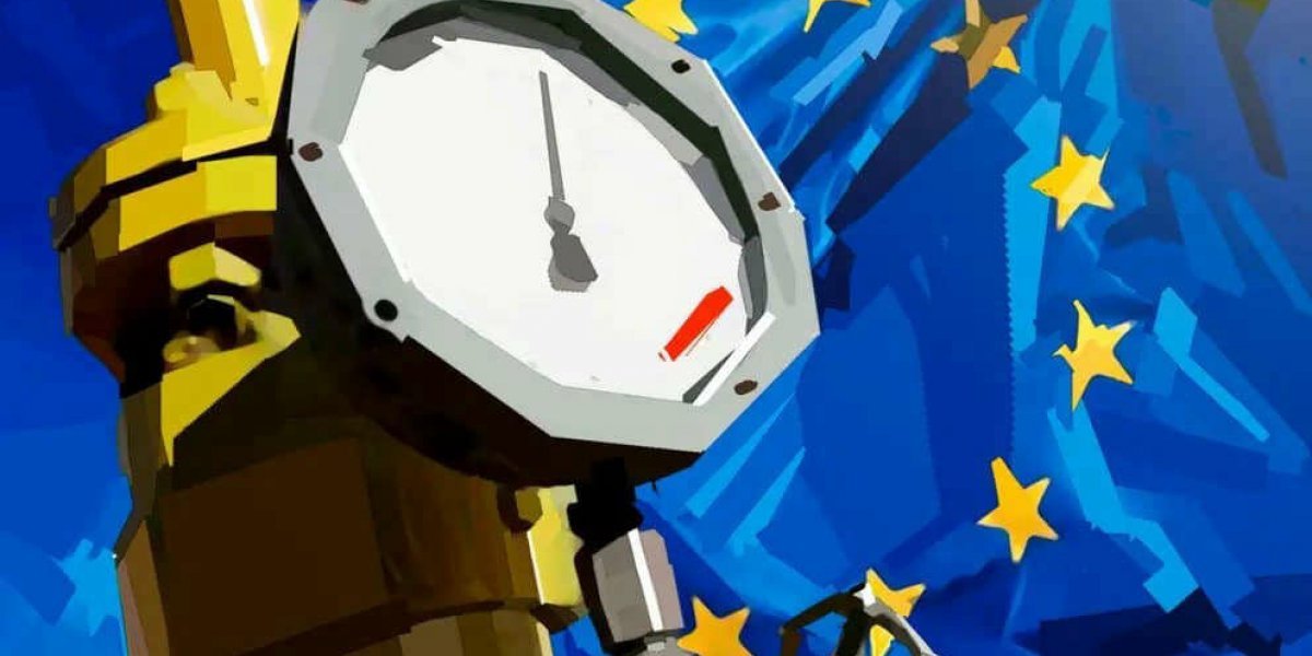 &laquo;Дай денег, Байден!&raquo;: союзникам Америки надоела её демократия