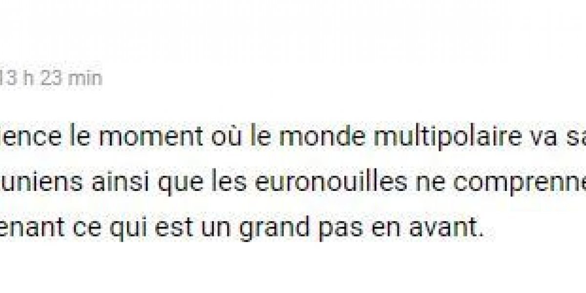 Французы напомнили НАТО, что считать русских придурками &ndash; большая ошибка