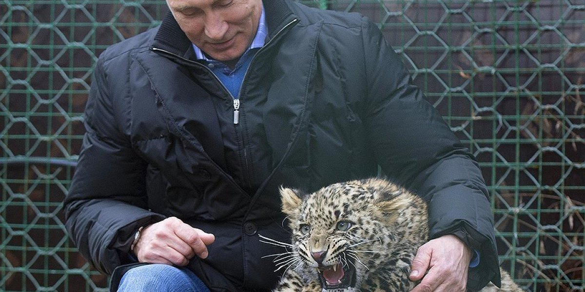 Главный недостаток Путина, который невозможно исправить Главный недостаток Путина, который невозможно исправить