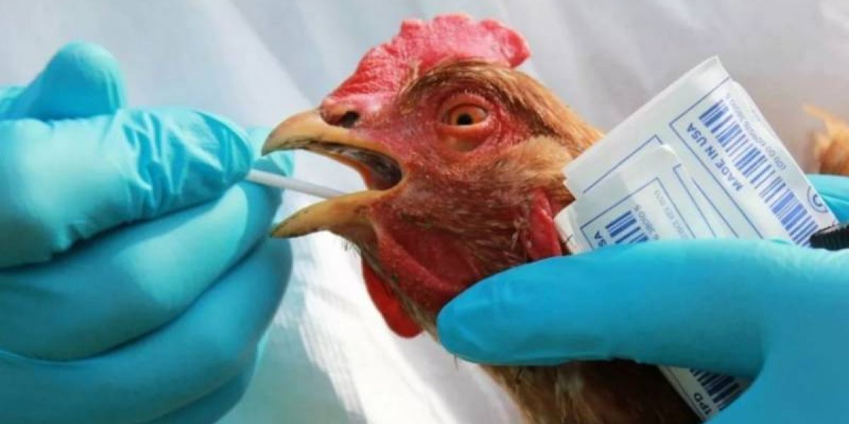 Почему в некоторых районах Москвы ввели карантин