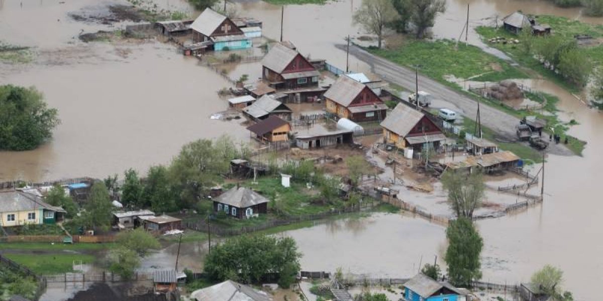 Последние новости о паводке в Алтае: что говорят эксперты и есть ли угроза для Новосибирска
