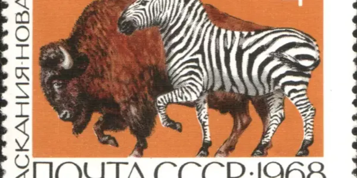 Что это за заповедник Аскания-Нова под Херсоном, о котором сказали Путину