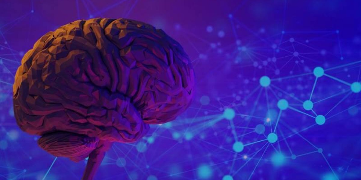 Правда или нет, что в российских водоемах найдена &laquo;пожирающая мозг&raquo; амеба?