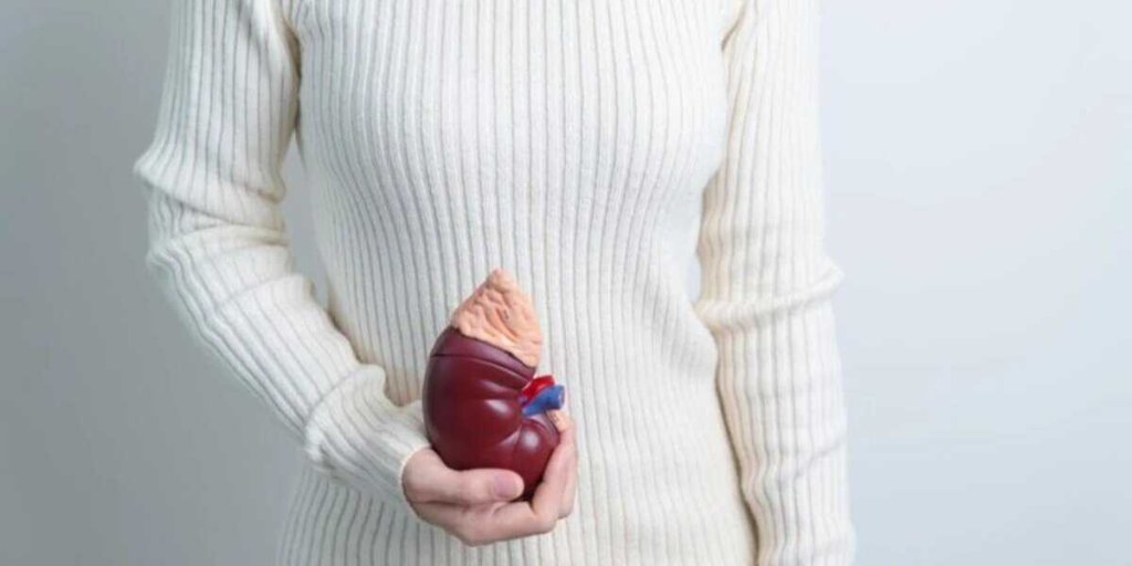 Прокурор посоветовал жительнице Саратовской области продать почку