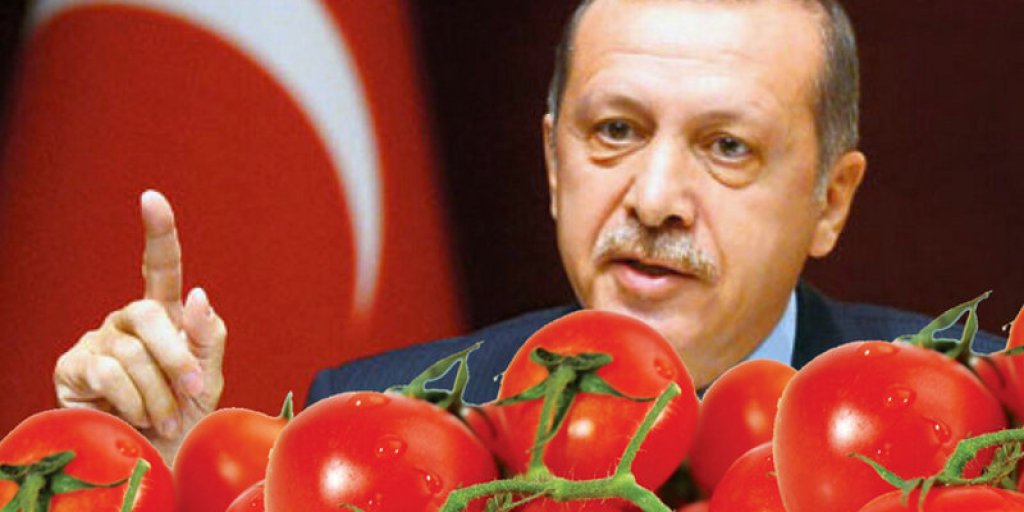 Удар по помидорам: предательство Эрдогана обходится Турции очень дорого