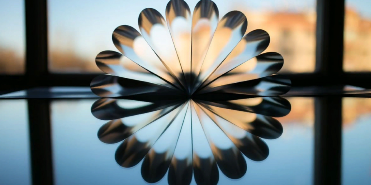 Новый удар: Россия отобрала у Кипра крупное целлюлозно-бумажное предприятие в Ленинградской области