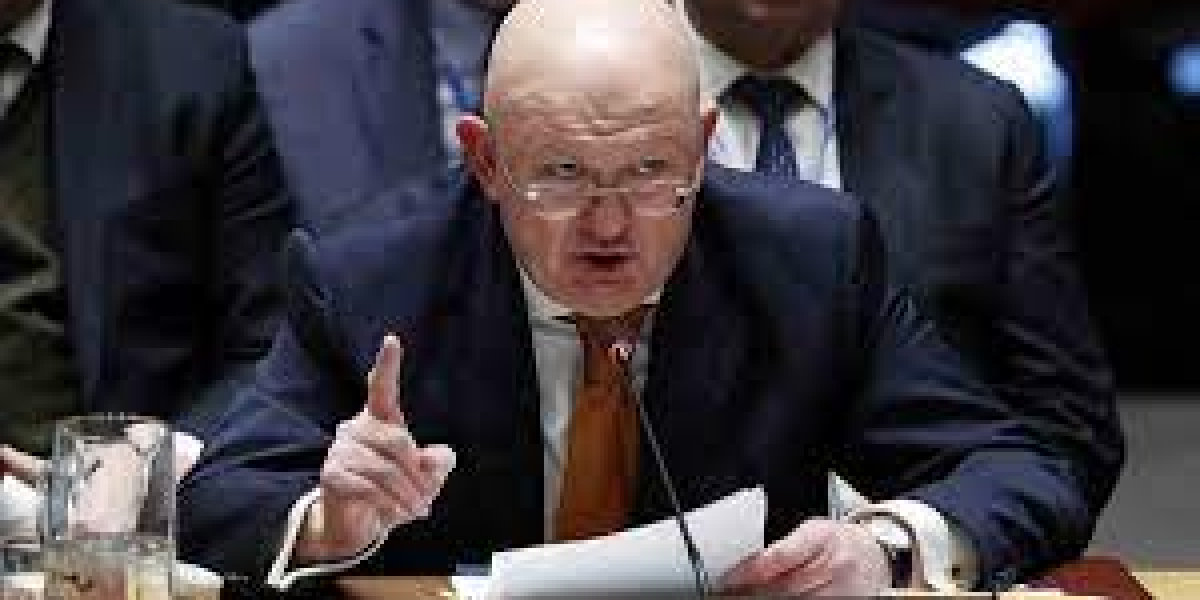 Реакция французов на вето России санкционной резолюции ООН в отношении Мали