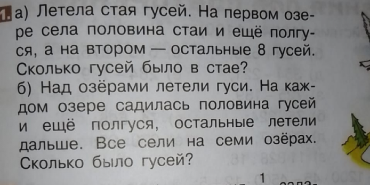 &laquo;На озеро село полгуся&raquo;! Чего мы ждем от образования, когда в учебниках такие задачи?