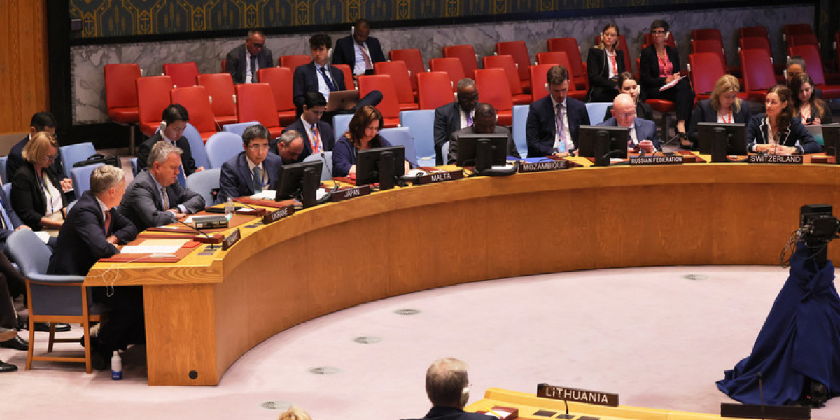 Реакция французов на вето России санкционной резолюции ООН в отношении Мали
