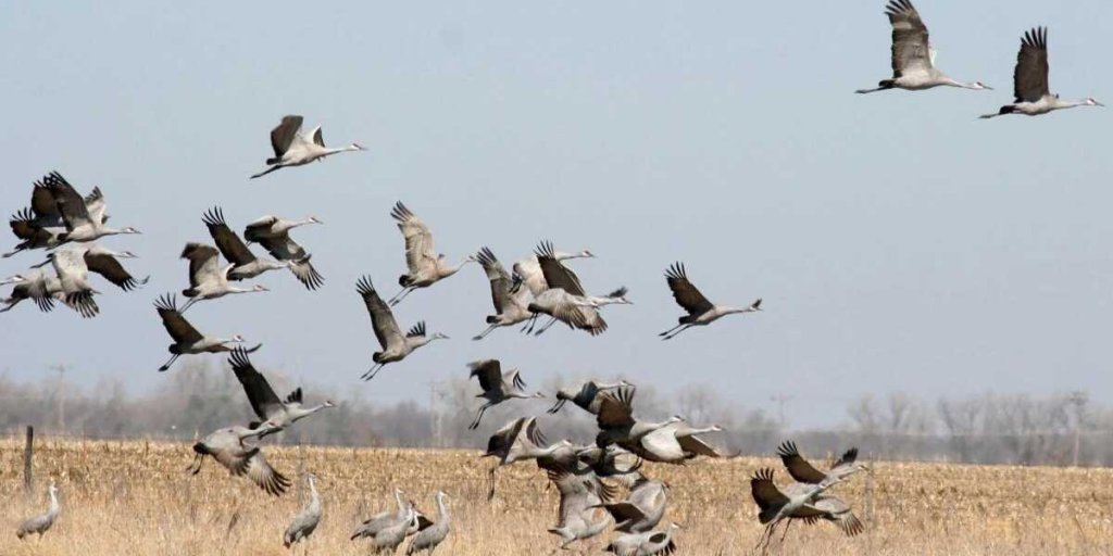 Какой сегодня праздник? Самые важные события на 10 сентября 2023 года в России и мире