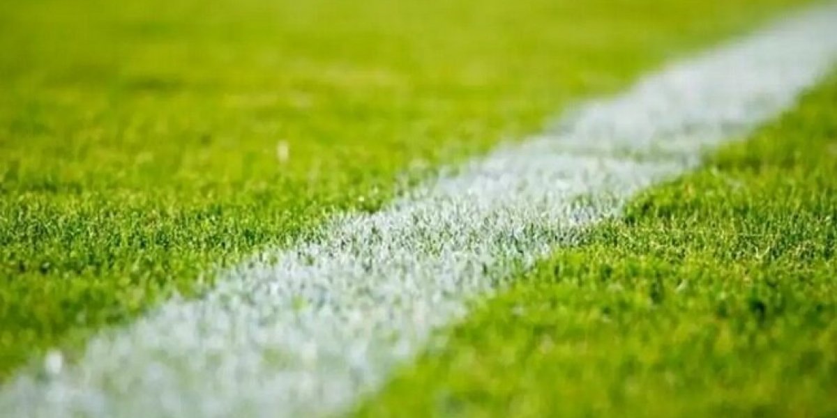 Обзор скандалов без последствий в иноСМИ