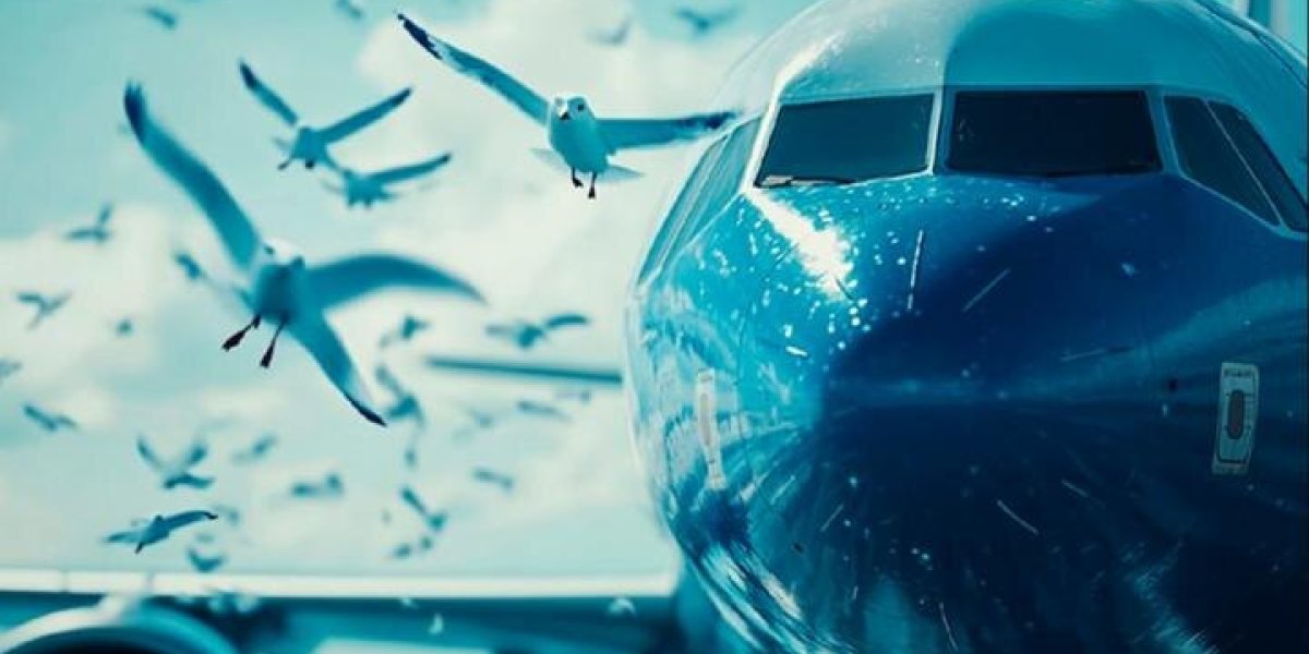«Подставили самолёт AZAL под огонь «Панциря», со стороны Каспия работал корректировщик НАТО» – «Сварщики». Что скажет Алиев?