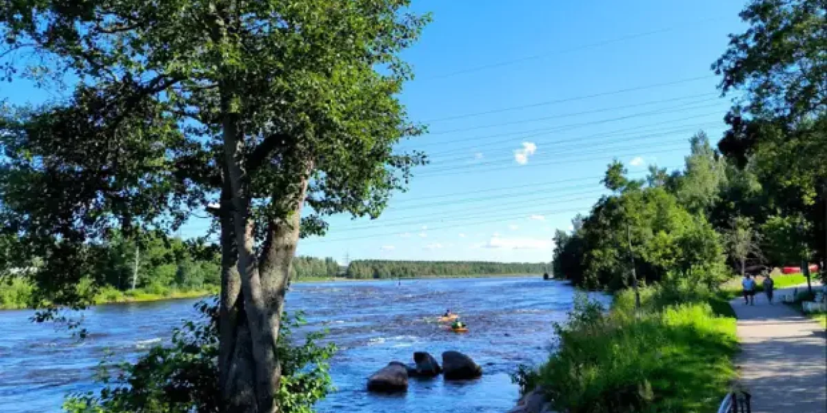 Россия выключила финнам рубильник. За что 53 года они получали от нас бесплатные 20 тыс. мегаватт-часов