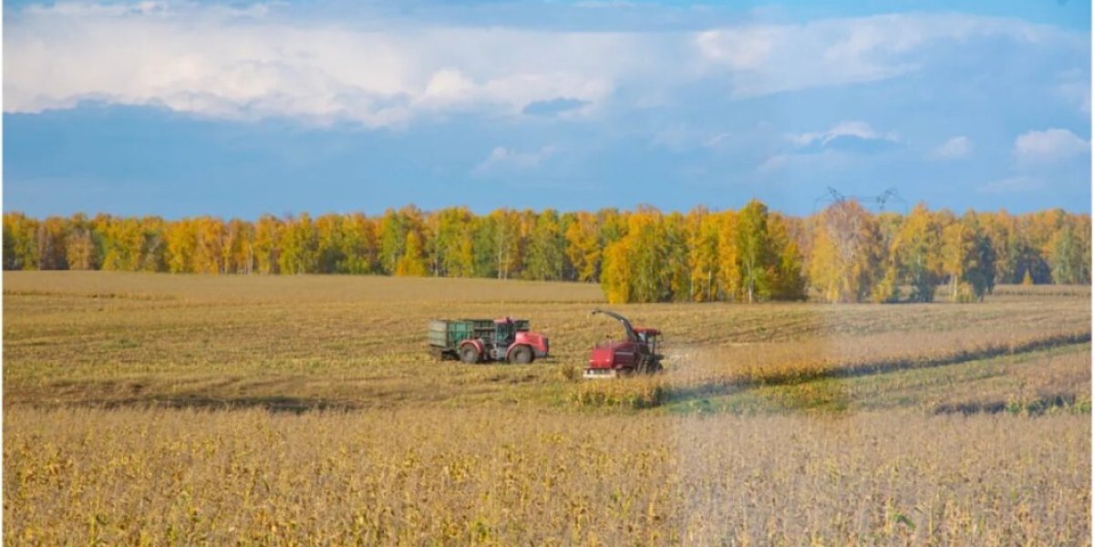 Наинспектировал! У чиновника полпредства нашли 28 млрд. Откуда такое состояние